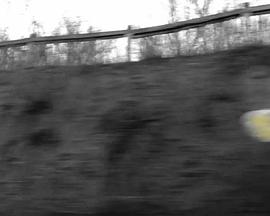 杜女士的夏天封面图