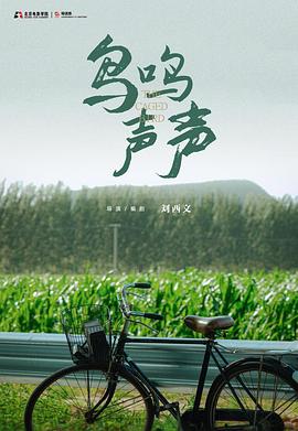 鸟鸣声声封面图