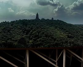 动物王国封面图