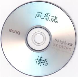 模拟记忆封面图