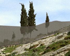 无边风景封面图