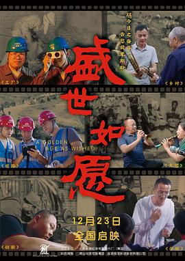 盛世如愿封面图