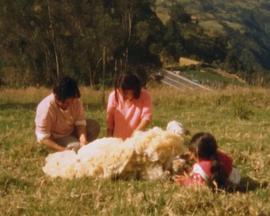 她们离开后，山里只留下了微弱的声响封面图