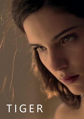 Tiger封面图