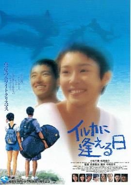 イルカに逢える日封面图