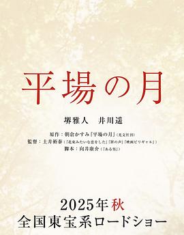 平场之月封面图