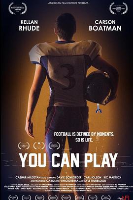 爱上明星四分卫封面图