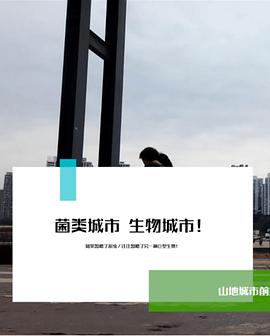 菌，反物质与流体城市封面图