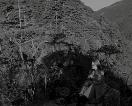 山中来客封面图