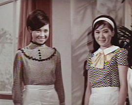 四凤求凰封面图