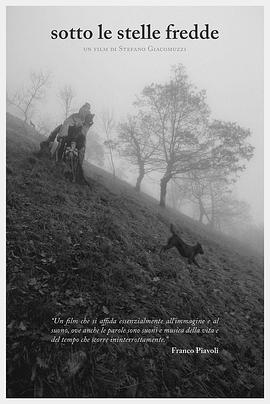 在寒冷的星空下封面图