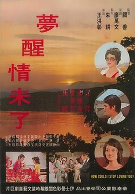 夢醒情未了封面图