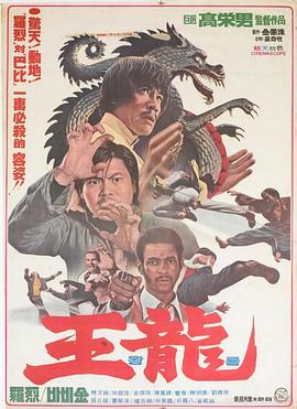 王龙封面图