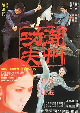 潮州功夫封面图