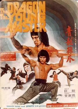 勇立忍者封面图