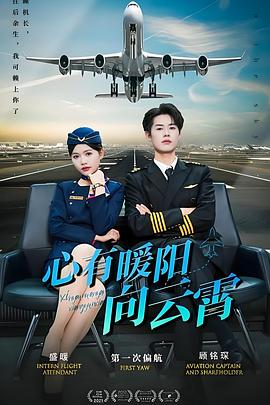 心有暖阳向云霄封面图