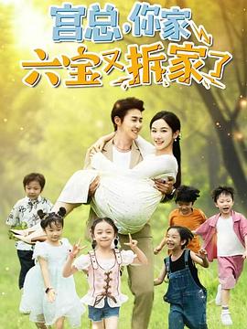 宫总，你家六宝又拆家了封面图