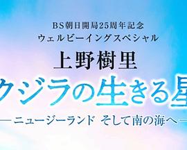 上野树里 鲸鱼的生存之星-前往新西兰和南海-封面图