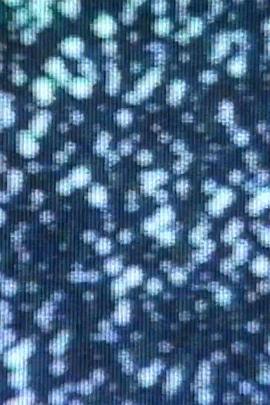 亡妻回忆录封面图