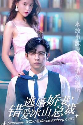 逃婚娇妻错爱冰山总裁封面图