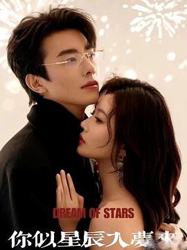 你似星辰入梦来封面图
