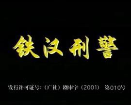 铁汉刑警封面图