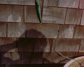 一帧一帧的一个月封面图