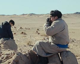 狼群总是在晚上出现封面图