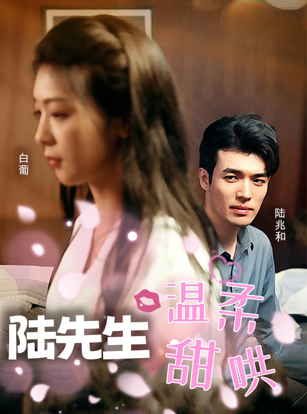 陆先生温柔甜哄封面图