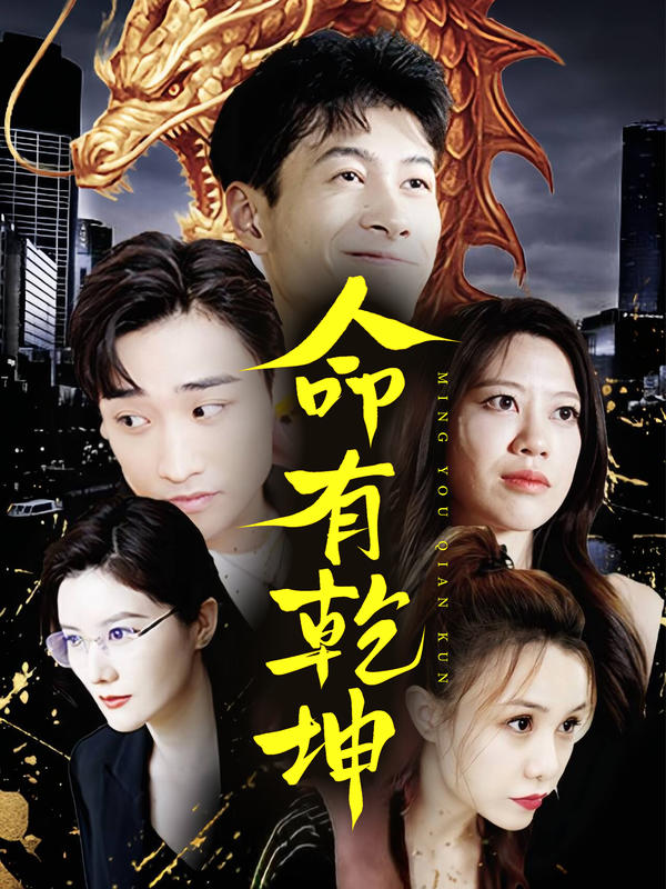 命有乾坤封面图