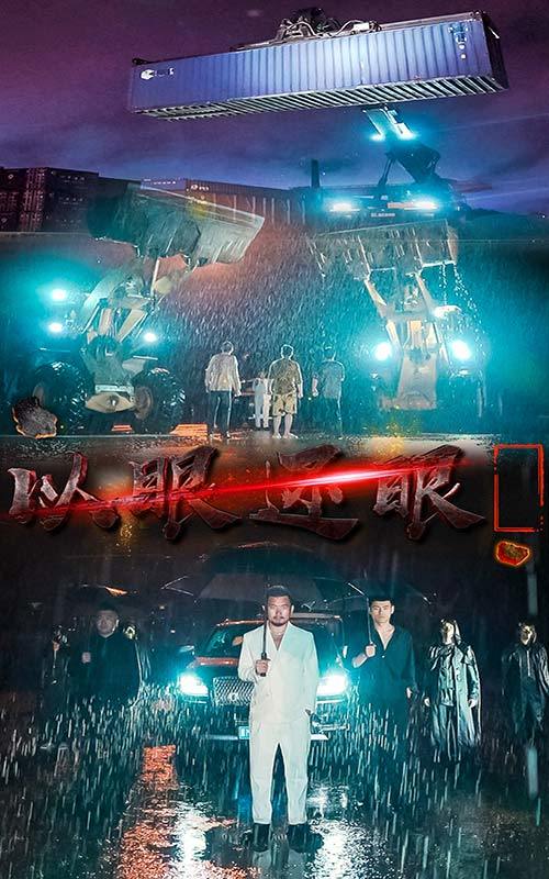 以眼还眼封面图