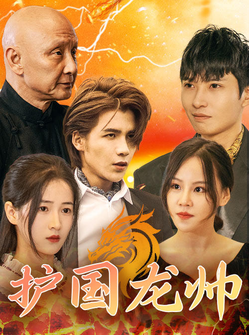 护国龙帅封面图