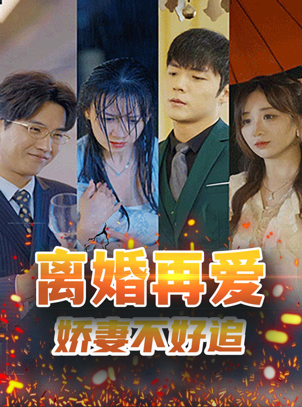离婚再爱，娇妻不好追封面图