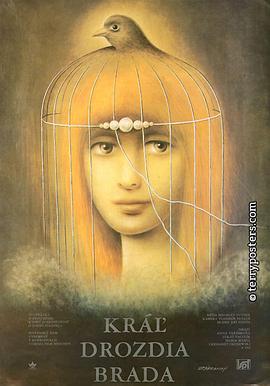 画眉嘴国王封面图