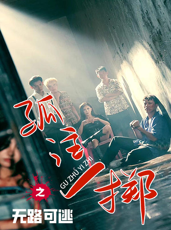 孤注一掷之无路可逃封面图