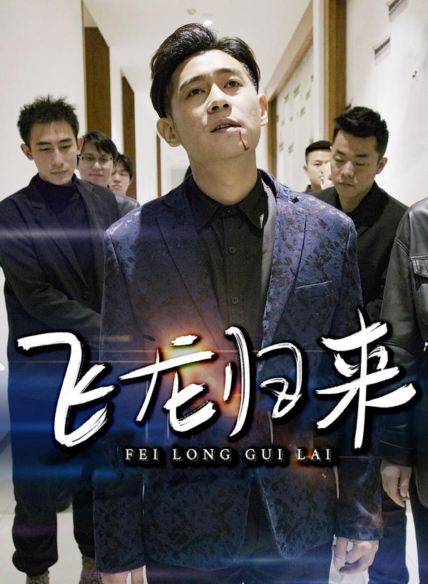飞龙归来封面图