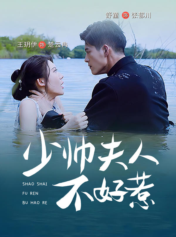 少帅夫人不好惹封面图