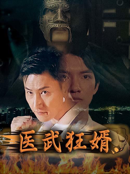 医武狂婿封面图