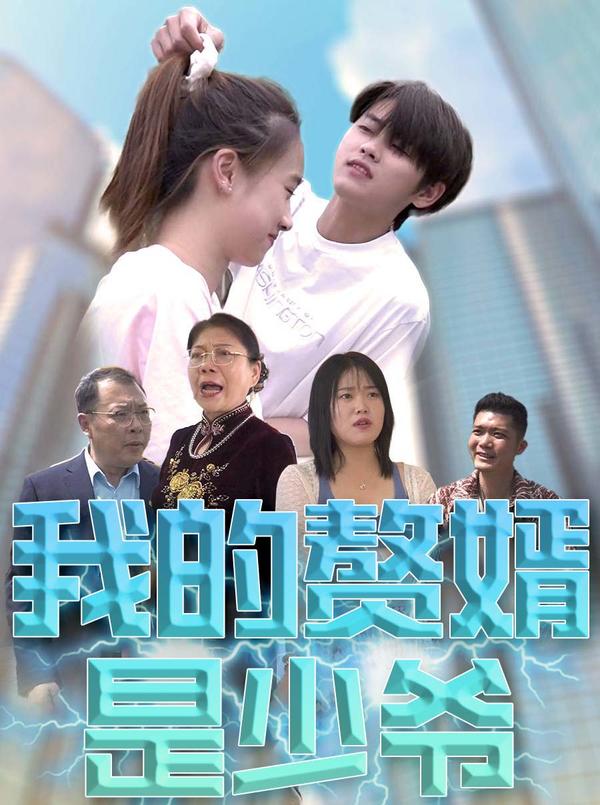 我的赘婿是少爷封面图