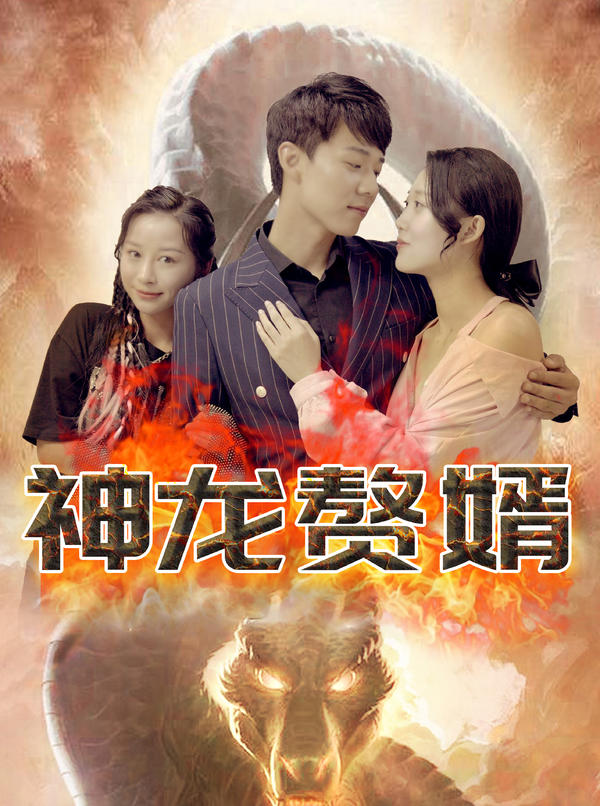 神龙赘婿封面图
