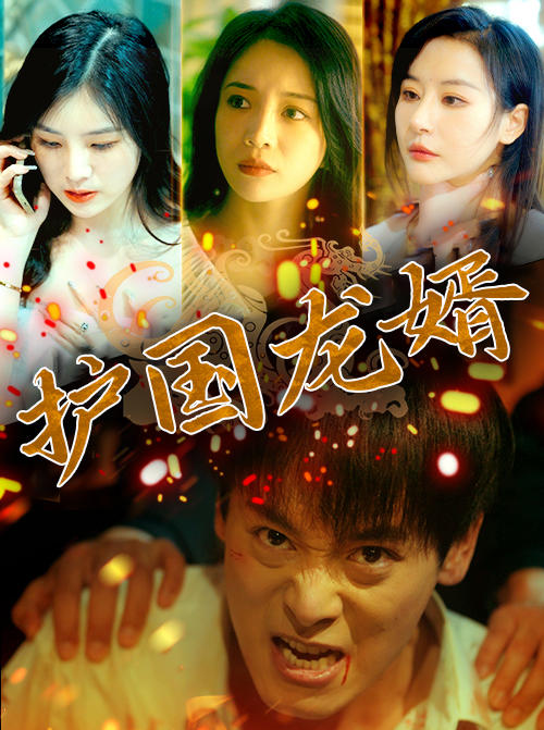 护国龙婿封面图