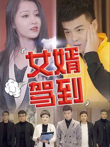 女婿驾到封面图