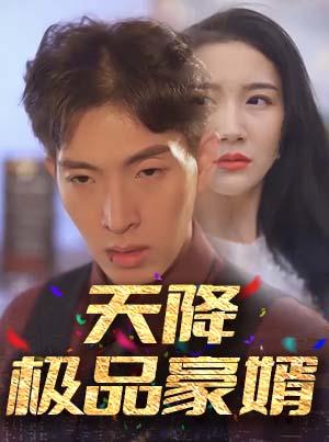 天降极品豪婿封面图