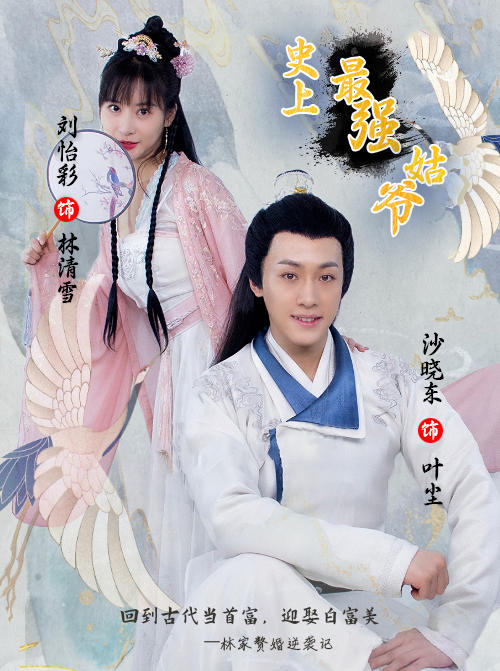 史上最强姑爷封面图