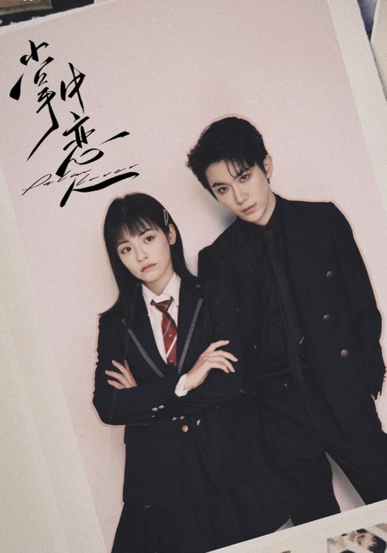 掌中恋人封面图