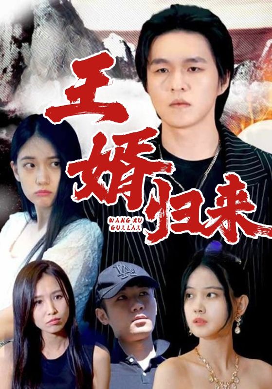 王婿归来封面图