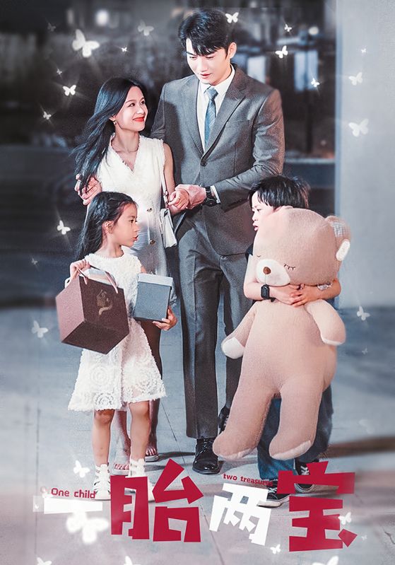 一胎两宝封面图