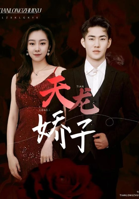 天龙赘婿封面图