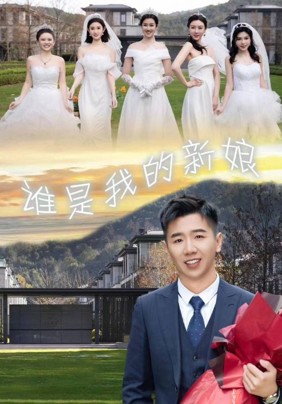 谁是我的新娘封面图