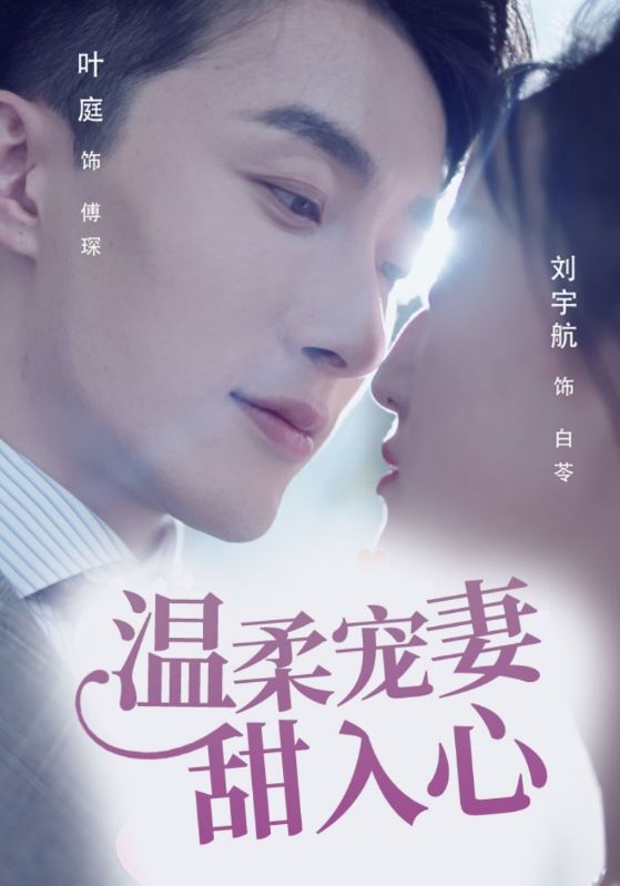 傅少宠妻甜入骨封面图